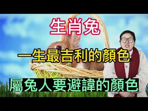 幸運顏色查詢|一生幸運色免費測算